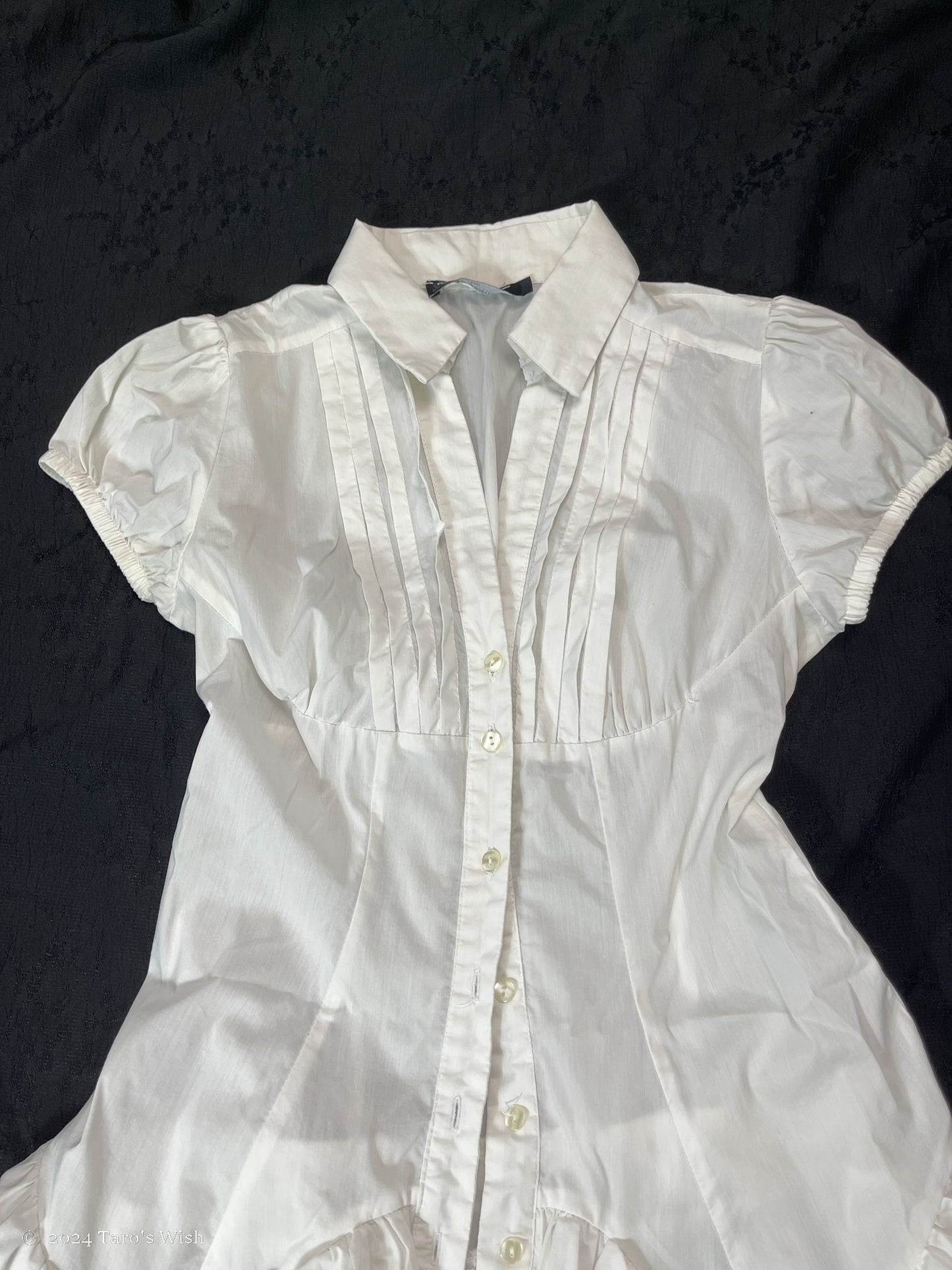 ruffle trim drop button up blouse